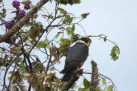 Parque Nacional Da Chapada dos Guimaraes